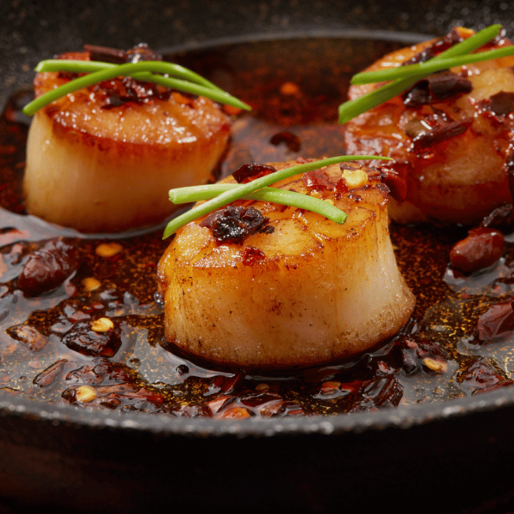 Scallops