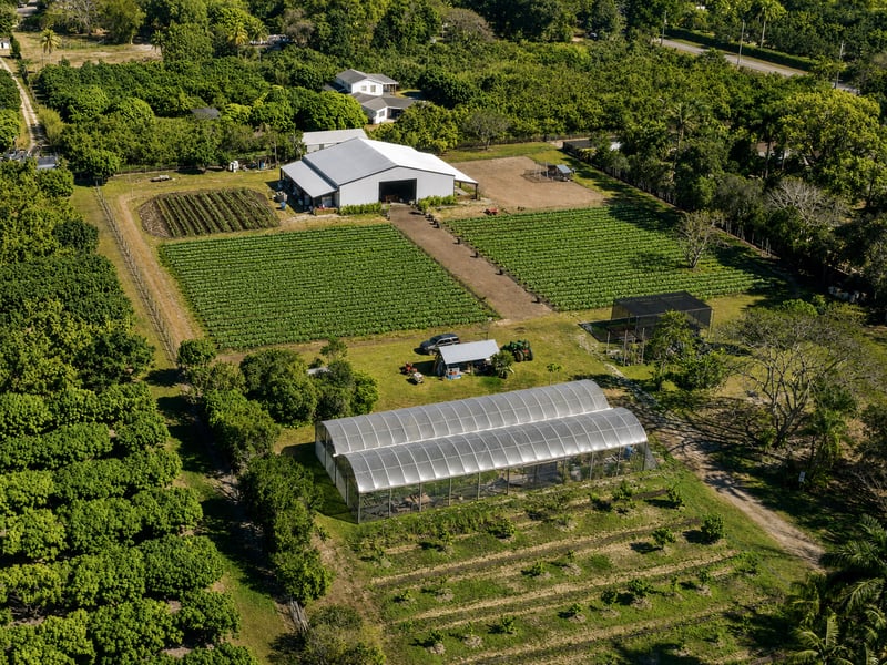 local farm