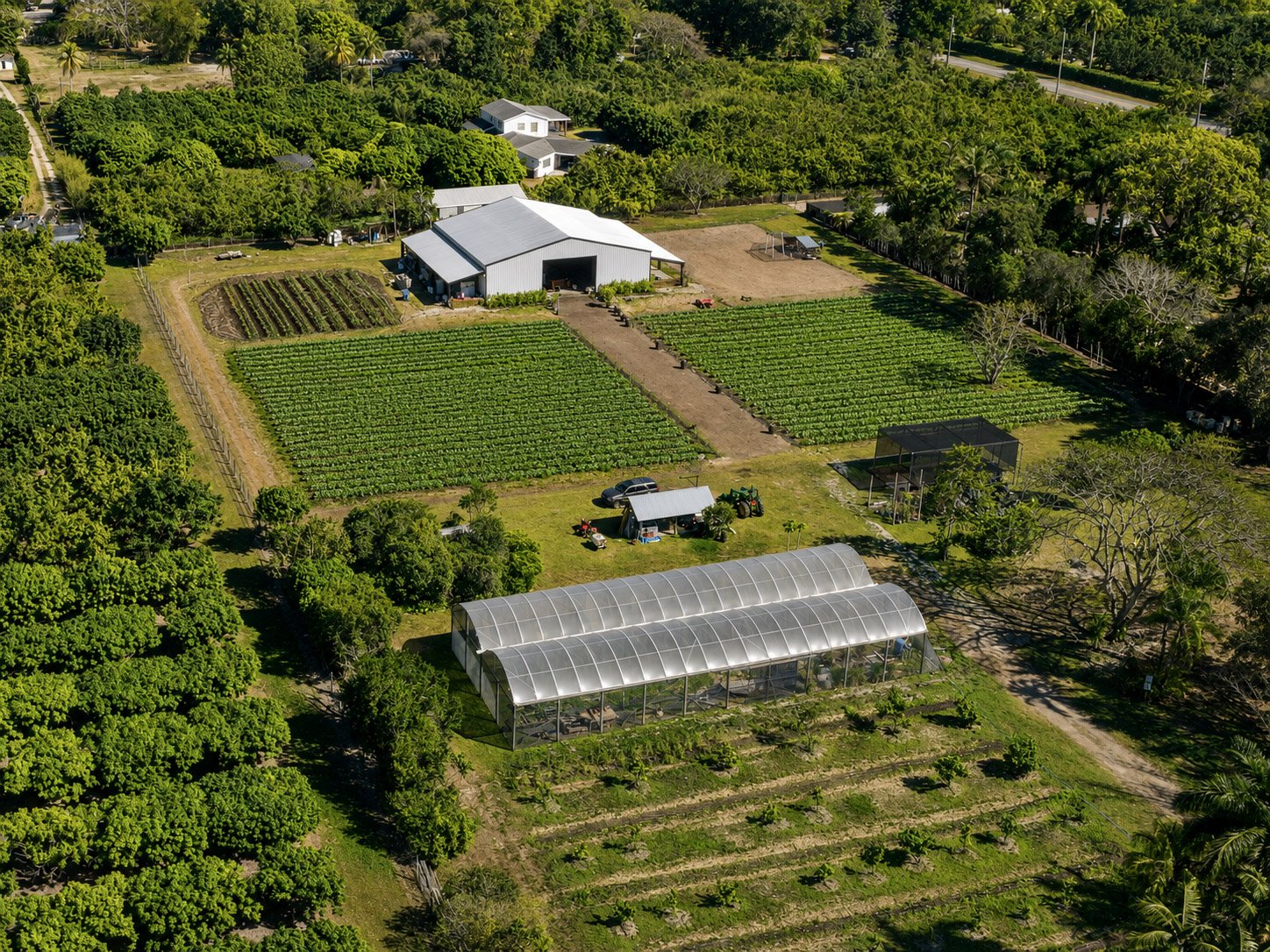 local farm local farm