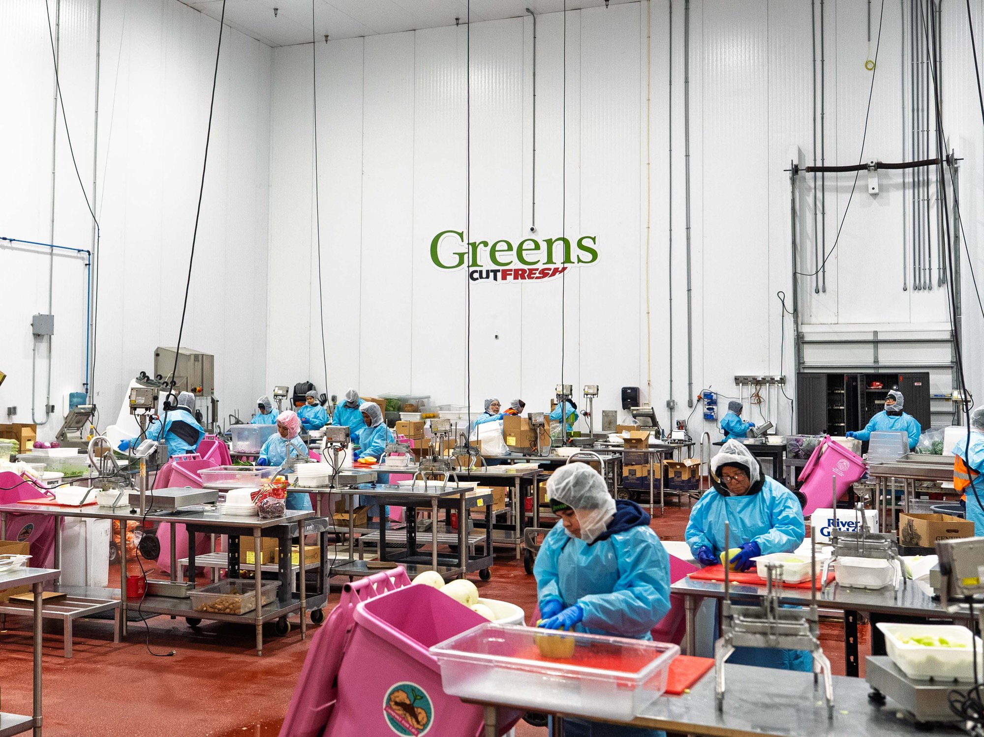 Cut Fresh Industry 