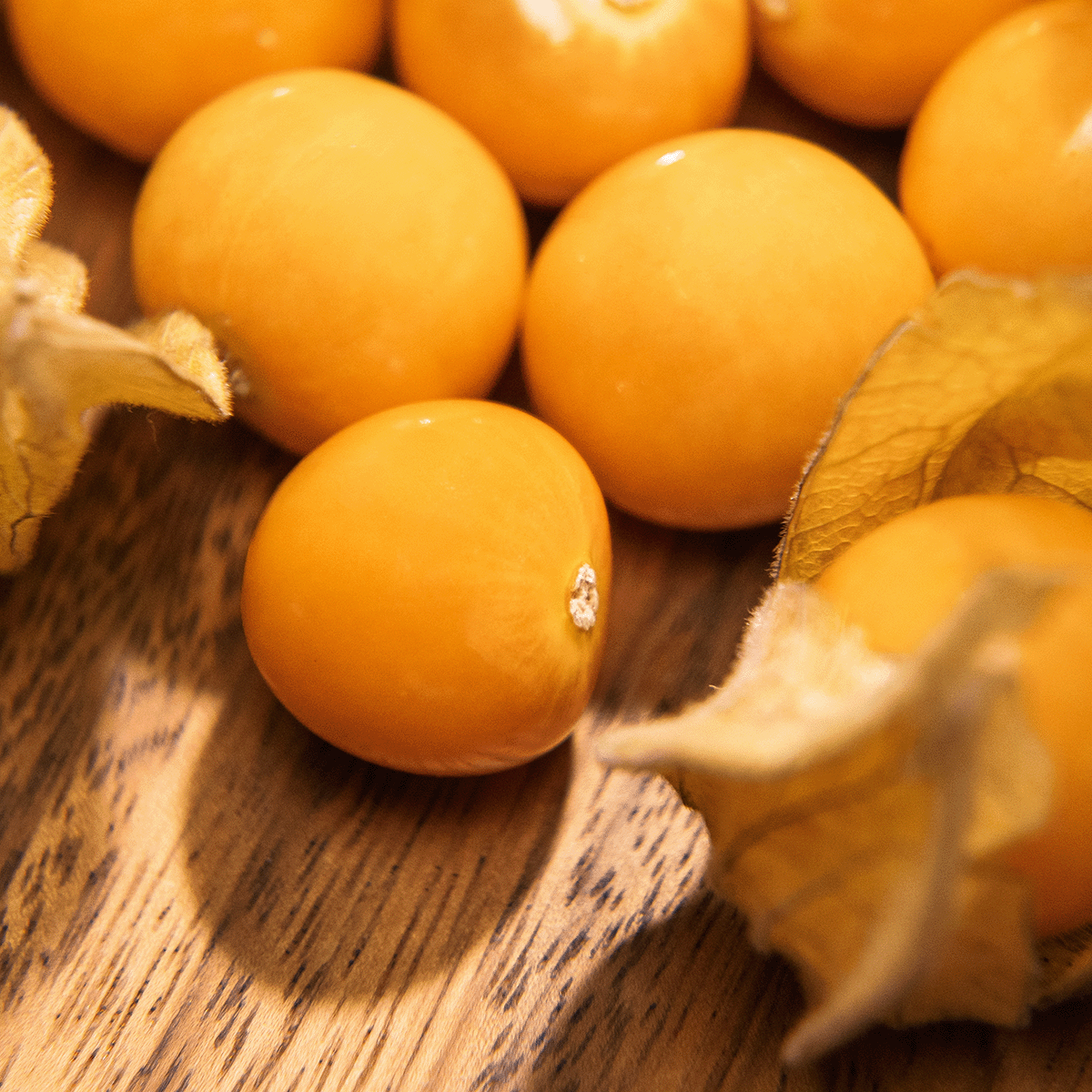 gooseberry