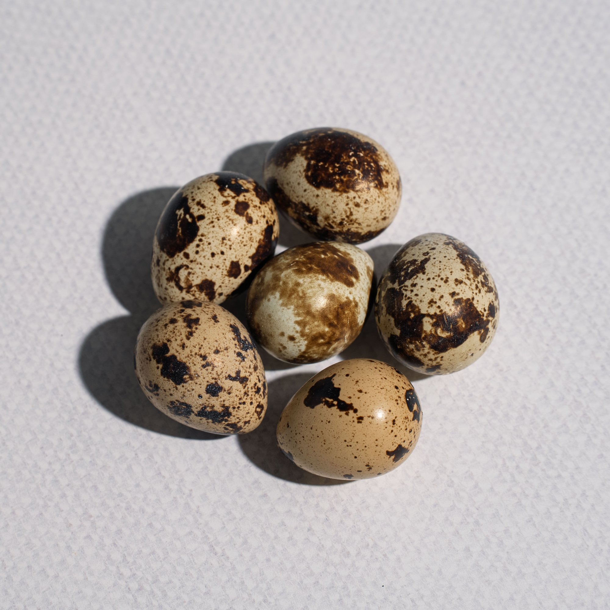 eggs-3 eggs-3