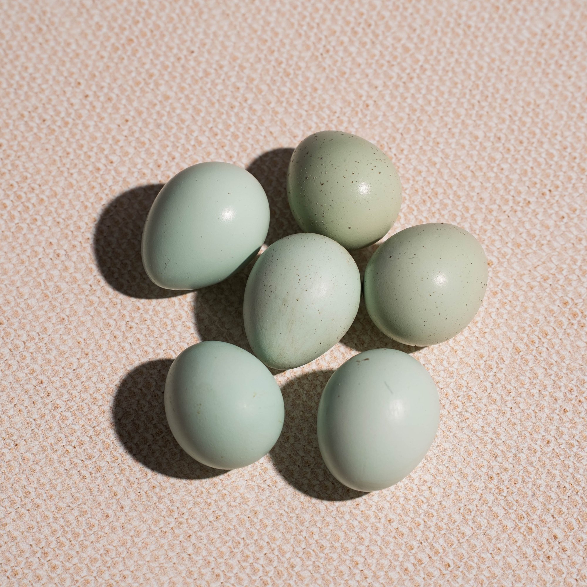eggs-4