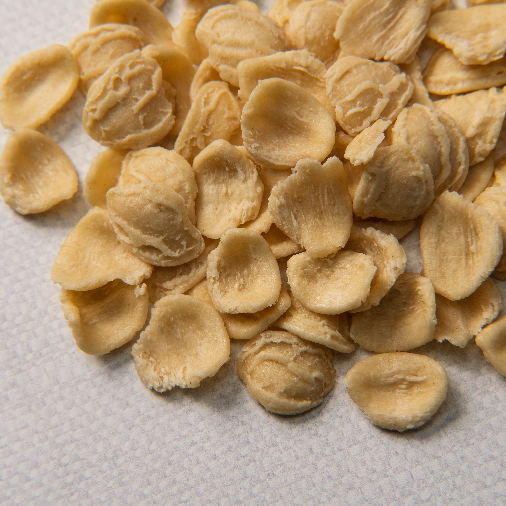 orecchiette