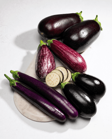 eggplant category