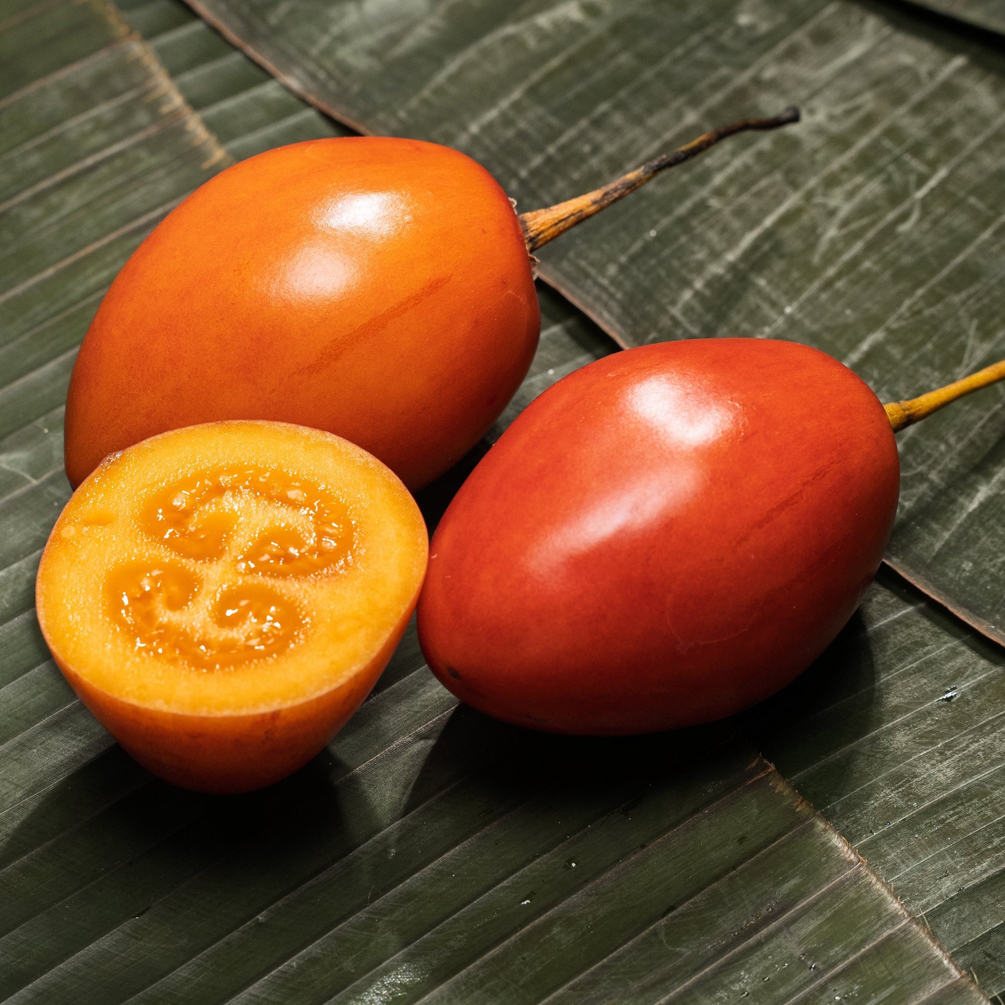 tamarillo