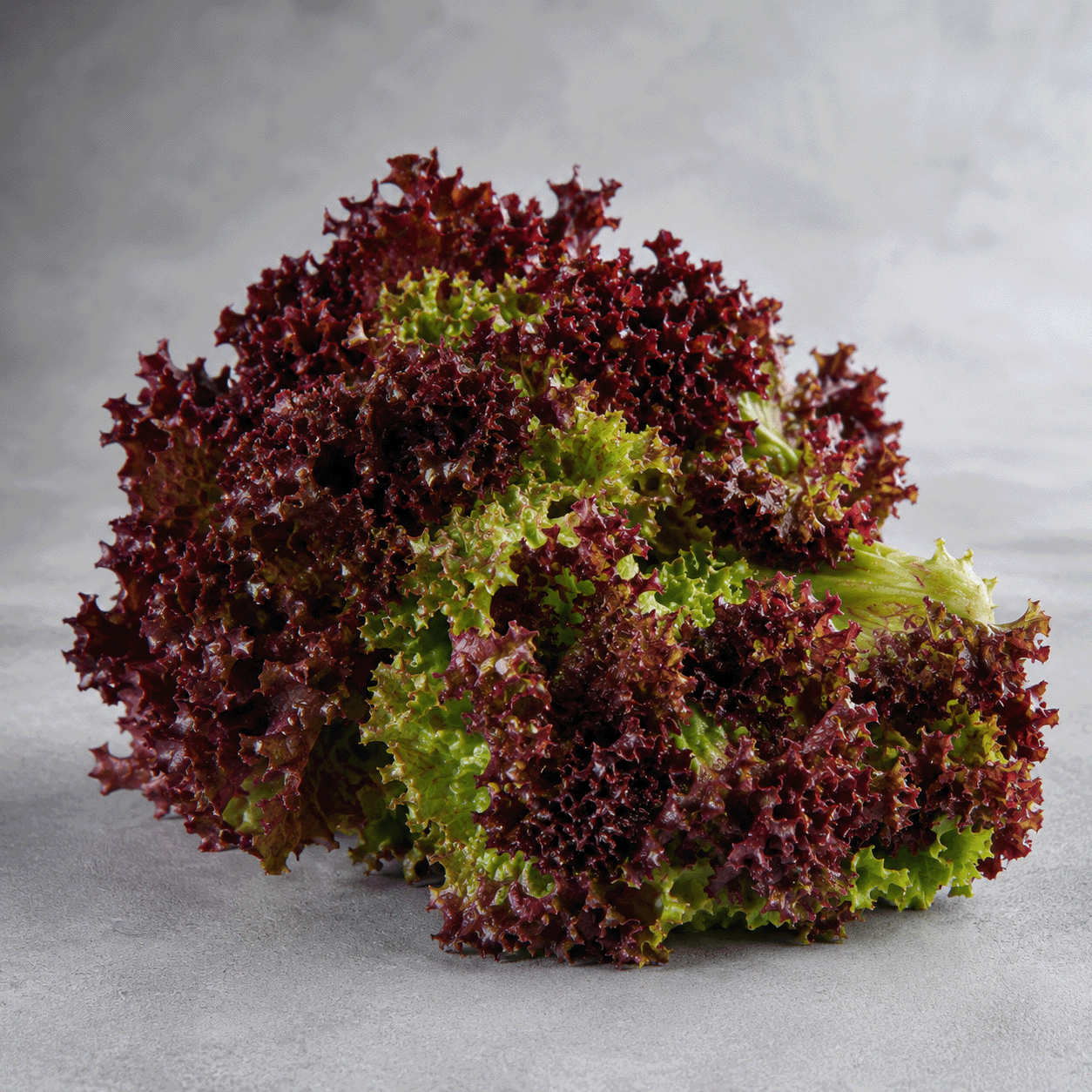 red lettuce solo
