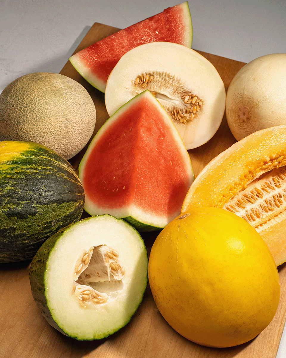 melon category