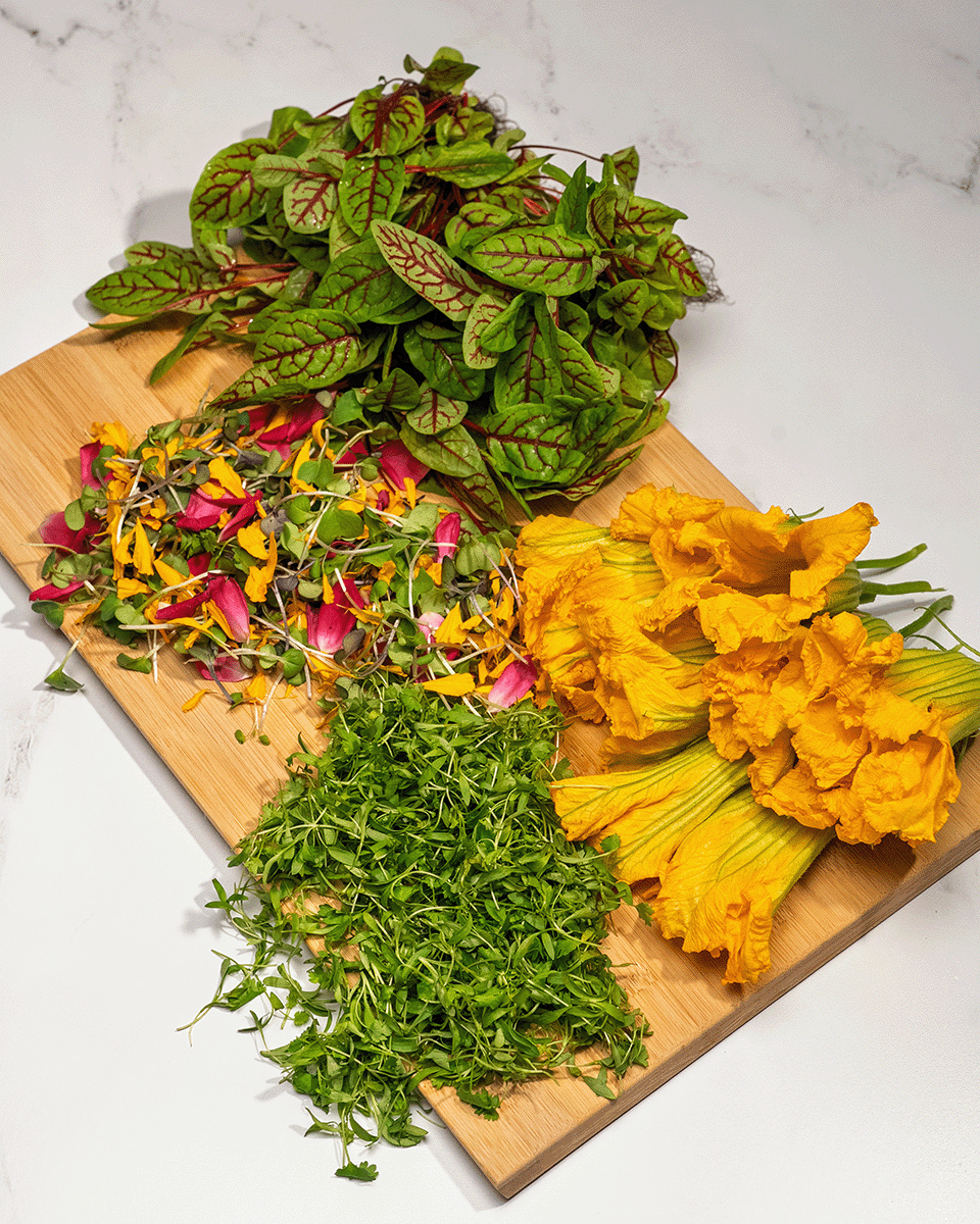 micros and garnishes category-1