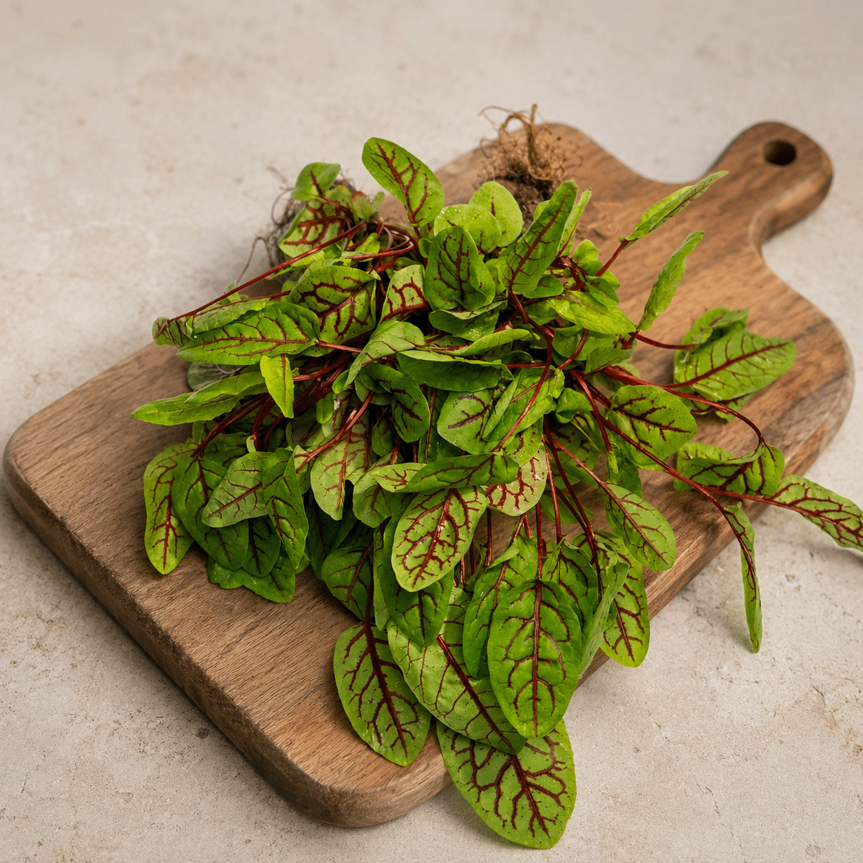 red sorrel