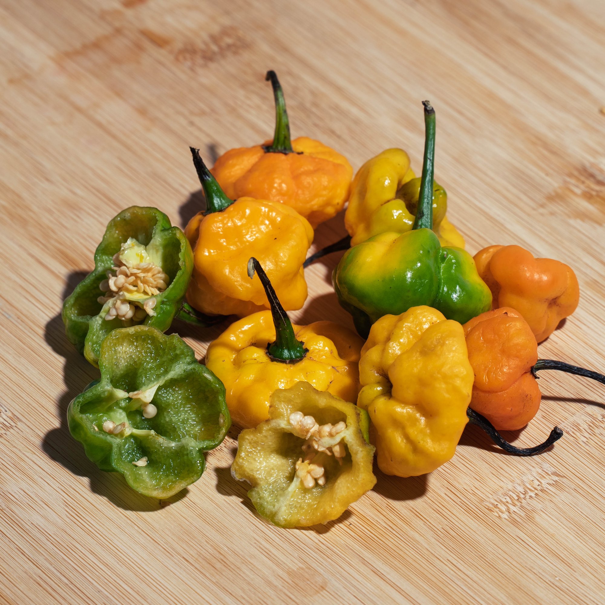 peppers-4