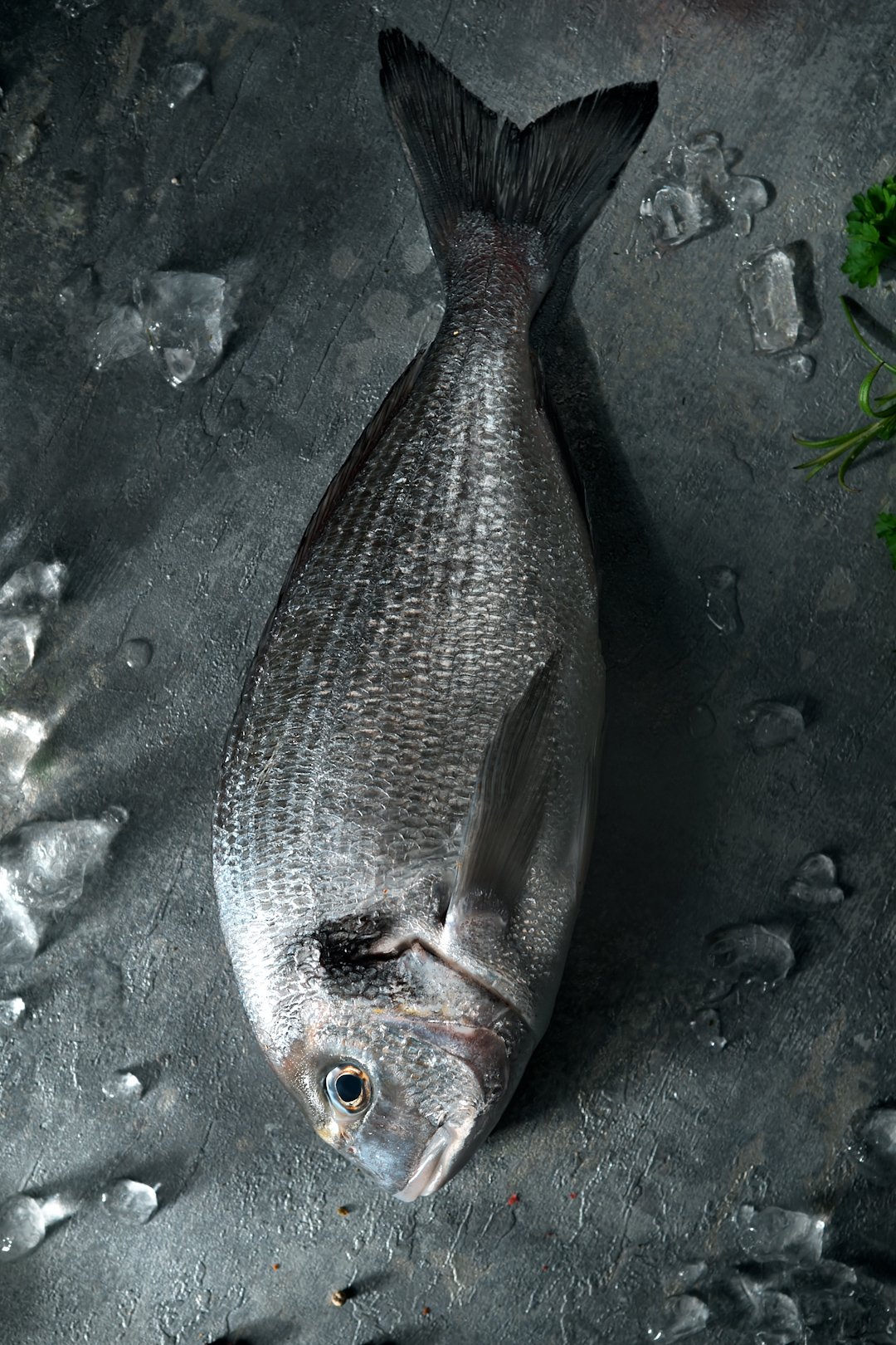 seafood-1