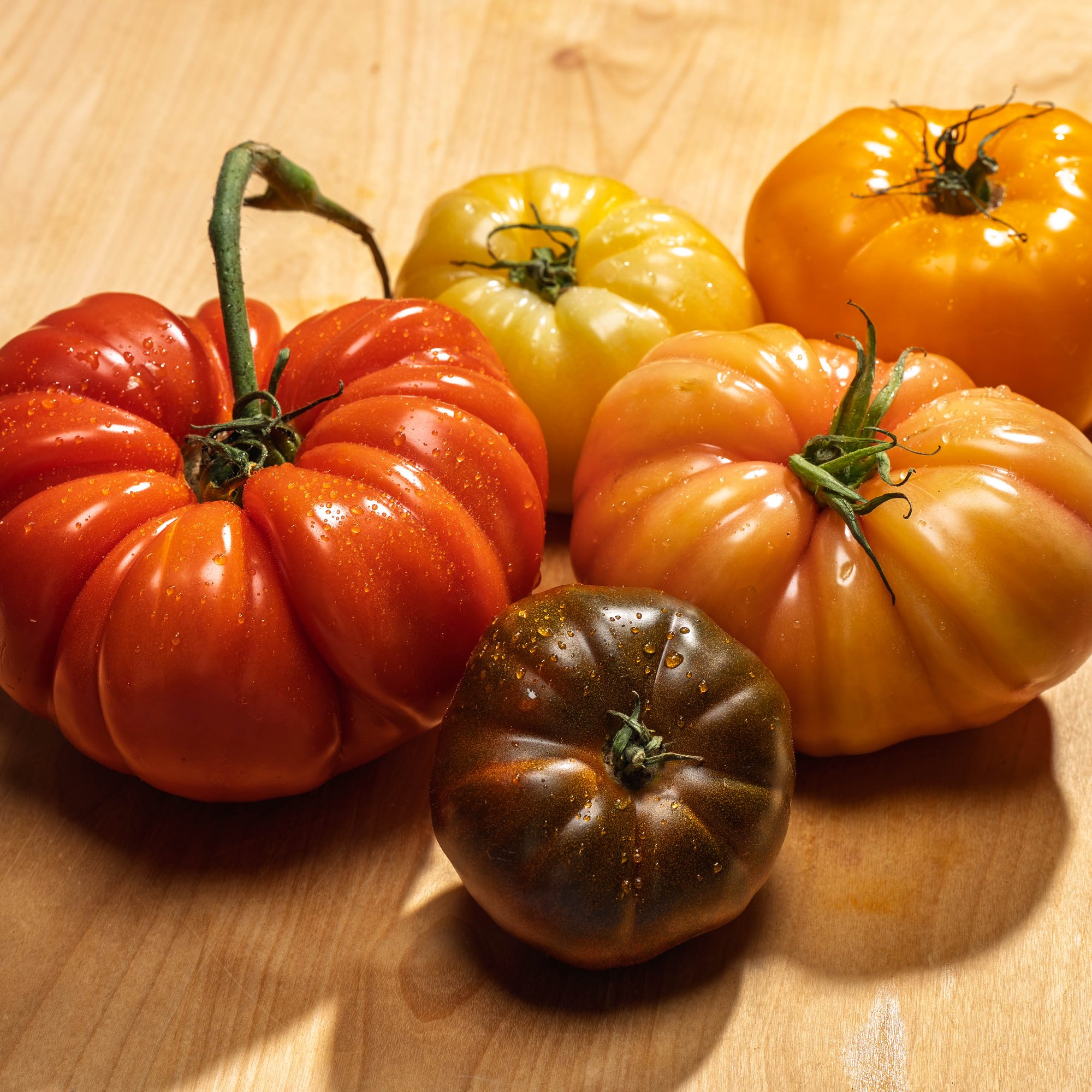 tomato-2 tomato-2