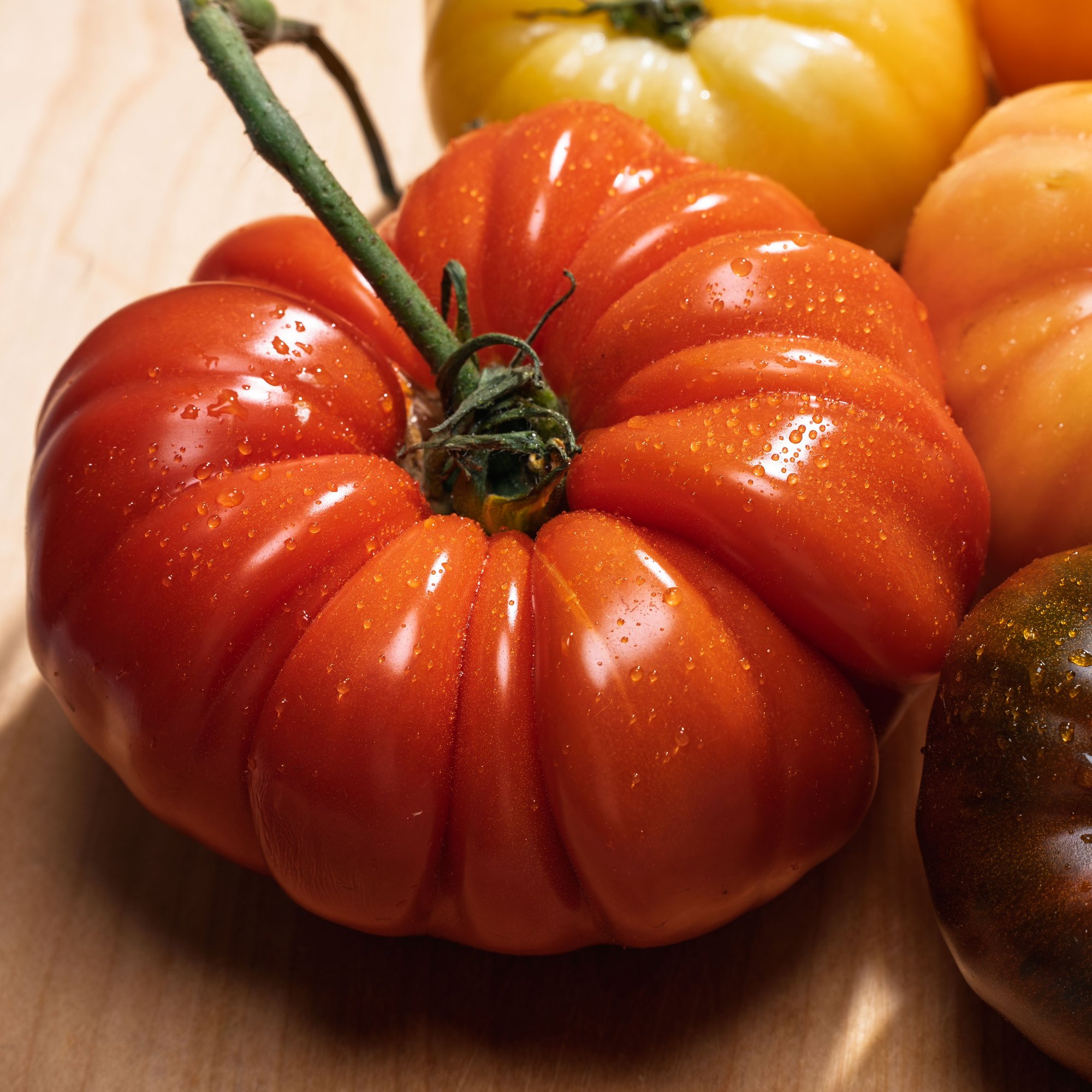 tomato tomato