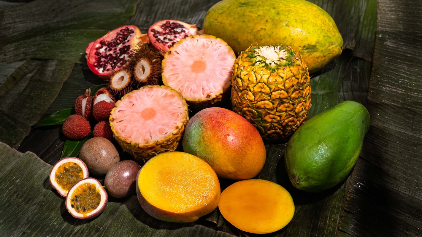 tropical category small 2